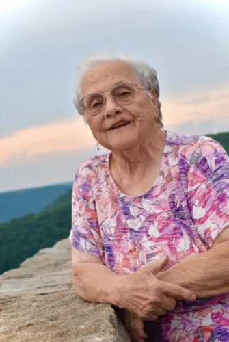 Donna L. Bitner
